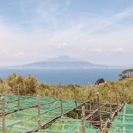 Villa La Limonaia Sorrento Buitenkant foto