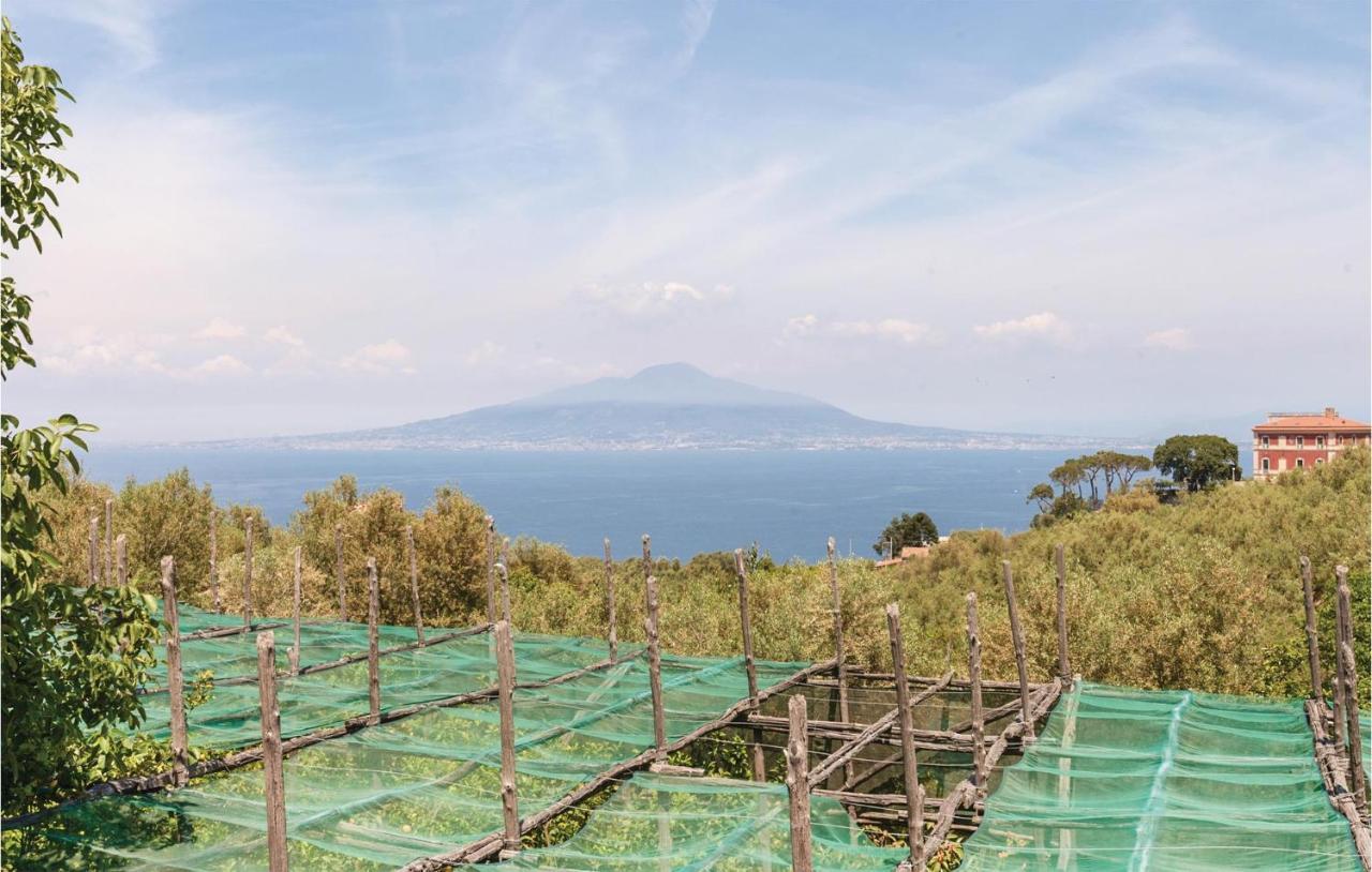 Villa La Limonaia Sorrento Buitenkant foto